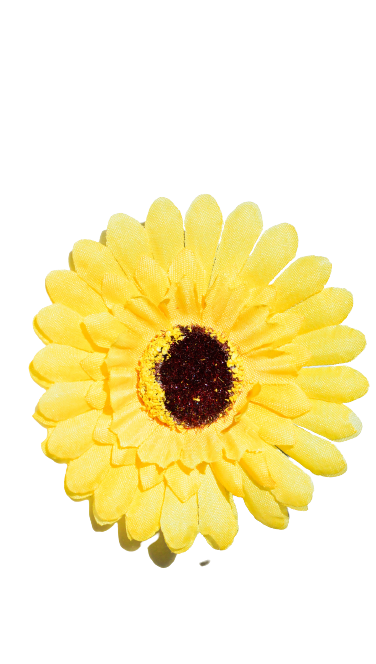 Flower Power Energie Blume