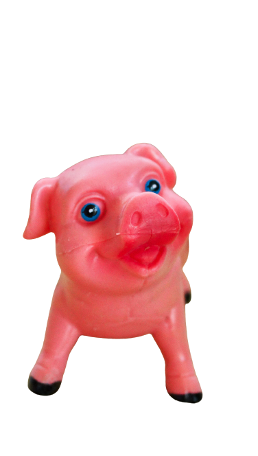 Happy - Mein Glücks Schweinchen